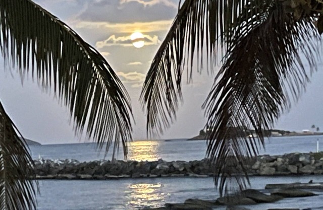 Palms Trees & Oceanfront Condo: FAB Reviews -So Cozy 2BD-2Bath,Deck,Pool & WiFi