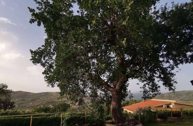 Panoramic apartment for 4 people