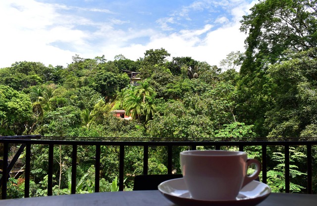 Panoramic mountain view house, walking distance to all attractions