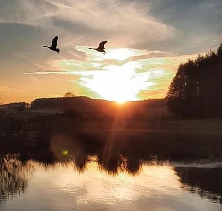 "Par-Celle Au Bord de l'Eau" pour une journée détente