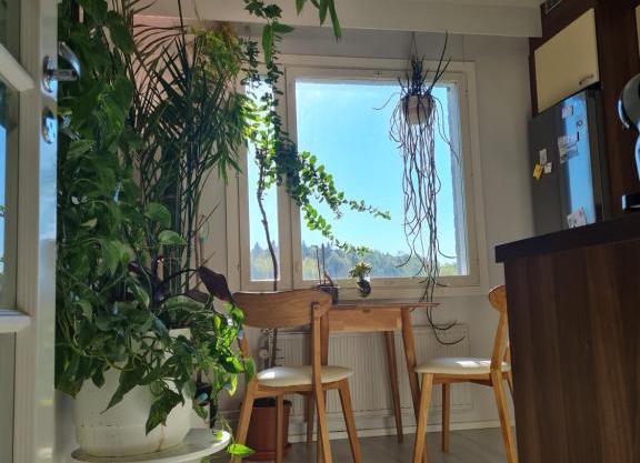 Paradise apartment