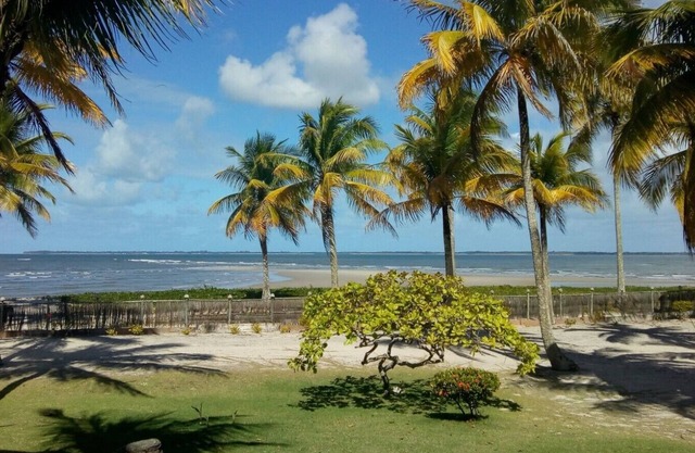 * PARADISE * - ECO LUXURY BEACH VILLAGE