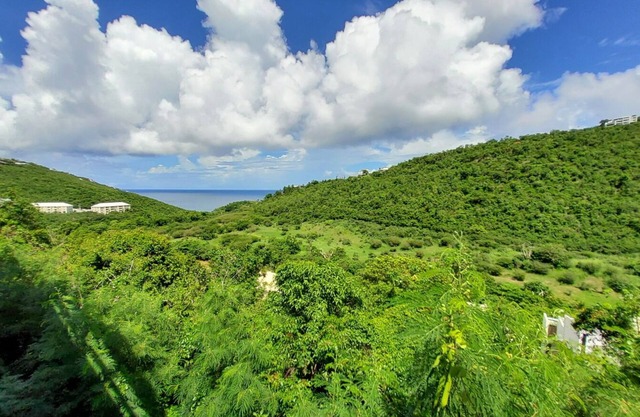 Paradise Found 1BR/1BA, 5 min to Magen's Bay