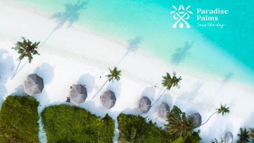 Paradise Palms - Guest House