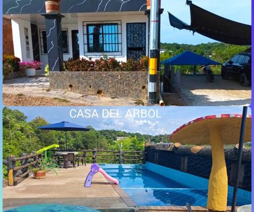 Parcela - Casa del árbol
