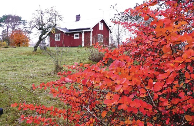 Partially renovated cottage in the shady garden in Smålands Hamneda.