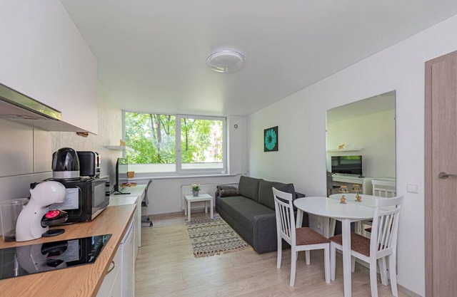Partizanų studio ap 2 by Polo Apartments