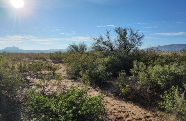 Peace + Quiet, Views, Grill, Fire Pit, Shower, Wi-Fi, Pet-Friendly!