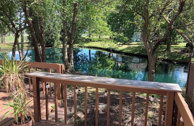 Peaceful cottage home close to Downtown Indianapolis