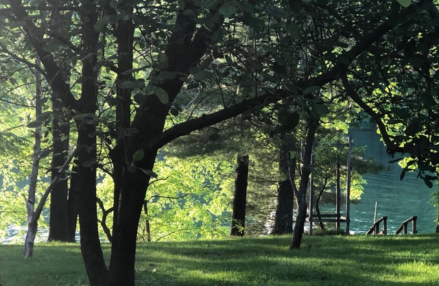 Peaceful Lakefront! Private deep water dock, evening sun, quiet dead end street!