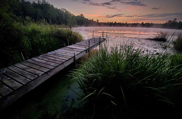 Peaceful Wooded Retreat on Lake Ann