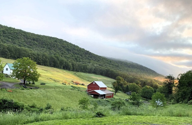 Pear Tree Cove---One of a kind private RV lot---Beautiful countryside!