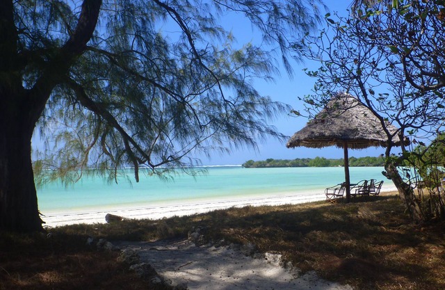 Pemba Eco Lodge