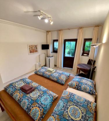 Pet friendly apartment