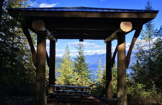 Pet-Friendly Mountain-View Kootenay Cottage for single or couples, No pet fee