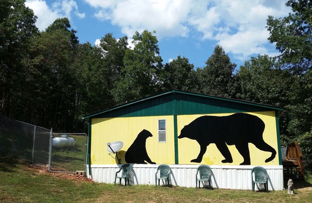 PET FRIENDLY REASONABLY PRICED MOUNTAINTOP COTTAGE