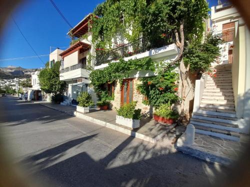 Petrino Studio Filoti Naxos