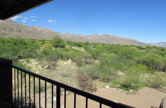 Picture Window Perfect-1 bedrm/den Stunning Mountain View- Many upgrades!