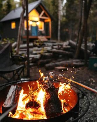 Picturesque Cabin Nestled Amidst Trees in Anchorage, Alaska