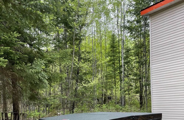 Piece of Paradise on Lac Long with hot tub/ Spa