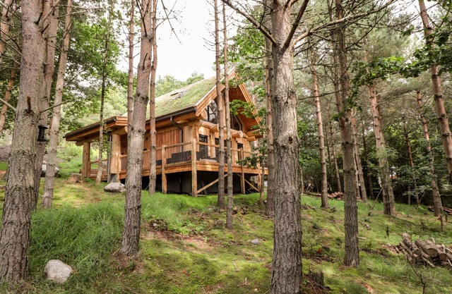 Pine Marten Lodge