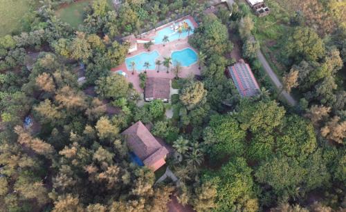Pinewood Resort