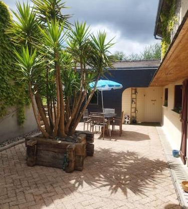Plain-pied T1 patio et jardin
