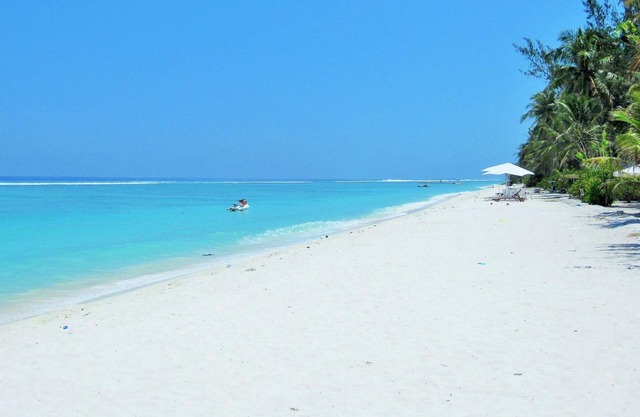 Planktons Beach