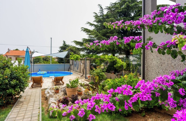 Pool Apartment Bakija, Pakoštane, Croatia