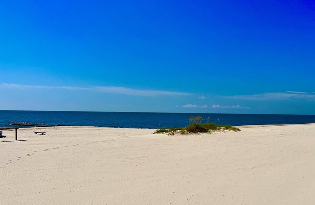 Pool fun /Booking Fast for Spring Break /Walk to the Beach