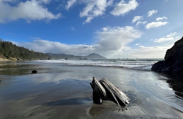 Port Orford Lake Escape | Scenic Views Nature
