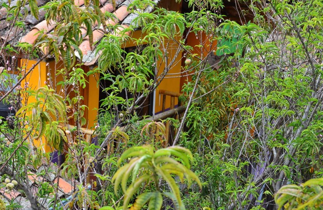 Posada 4 Esquinas