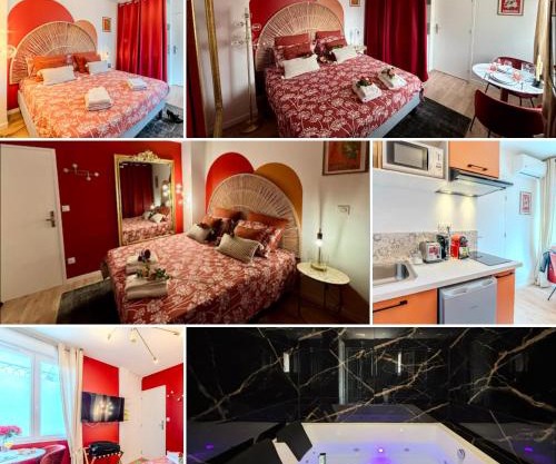 Prestige Jacuzzi & Clim, parking - Roanne centre-ville