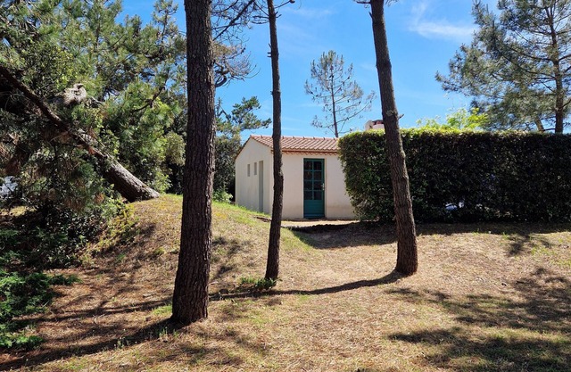 Pretty house under the pines 100m from the beach