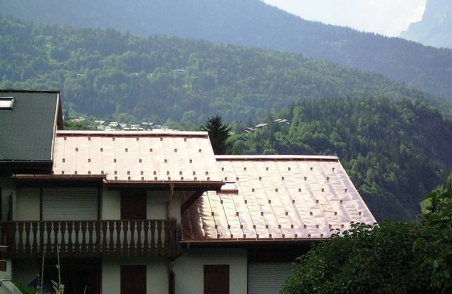 Pretty, nice, quiet and comfortable flat near ski trails