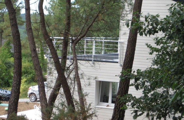 Pretty room between landscape and green nature