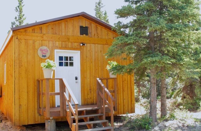 Prickly Rose Cabin-Arctic Dragonfly Inn