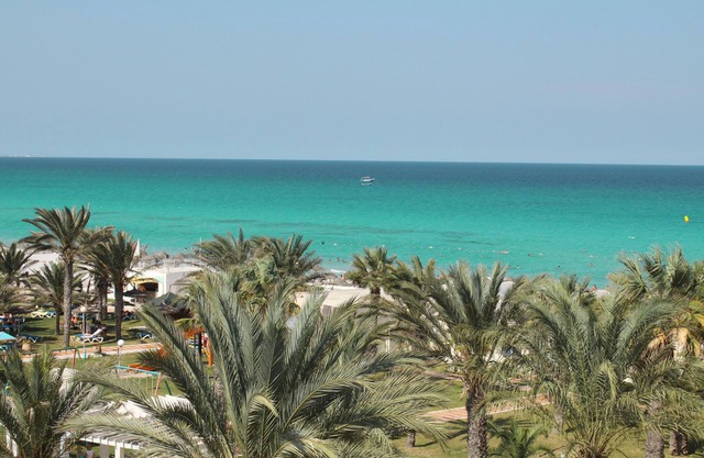 Primasol El Mehdi