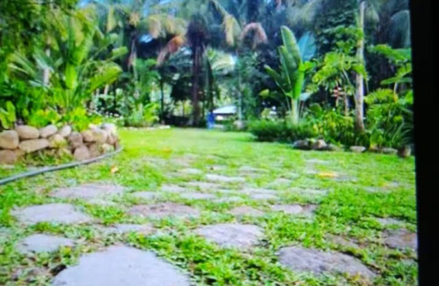 Princess Palace - Looc