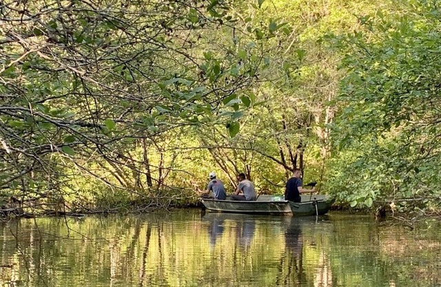 Private beautiful 100 Acre Lake & Cabin. Mt. Cheaha.Dog Friendly.Internet