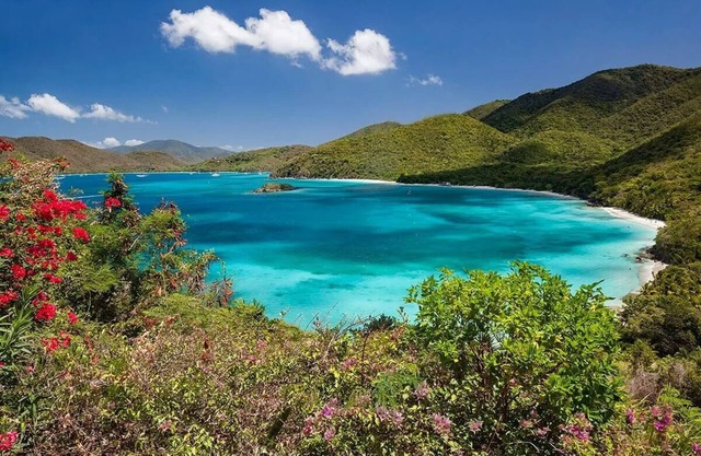Private Ocean-View Villa, Westin St. John USVI Christmas Week - 1 Bed /2 Bath