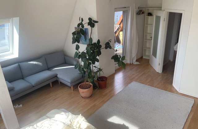 Private room in central rooftop