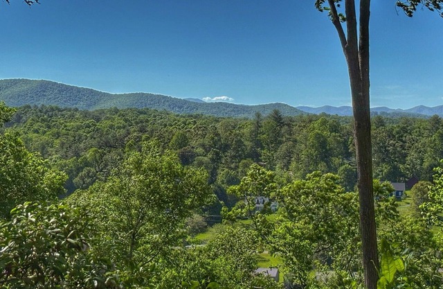 Private Setting w/Blue Ridge Mtn. Views - No Stairs - 2 King Beds - Ecusta Trail