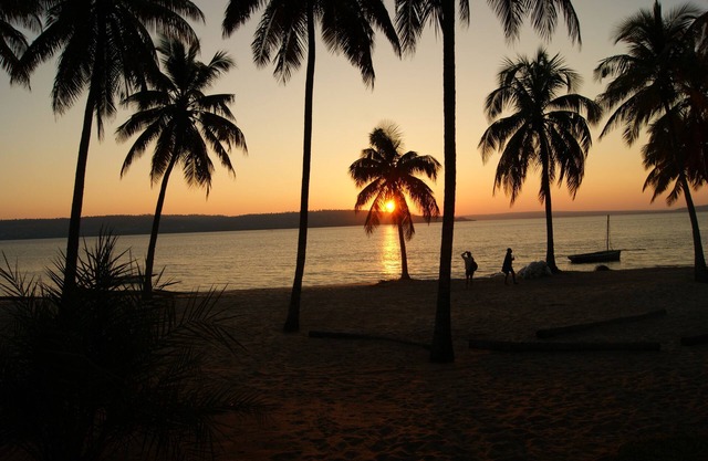Pura Vida Lodge
