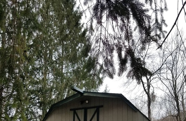 Quaint cottage close to rail trail and next to Pine Creek.