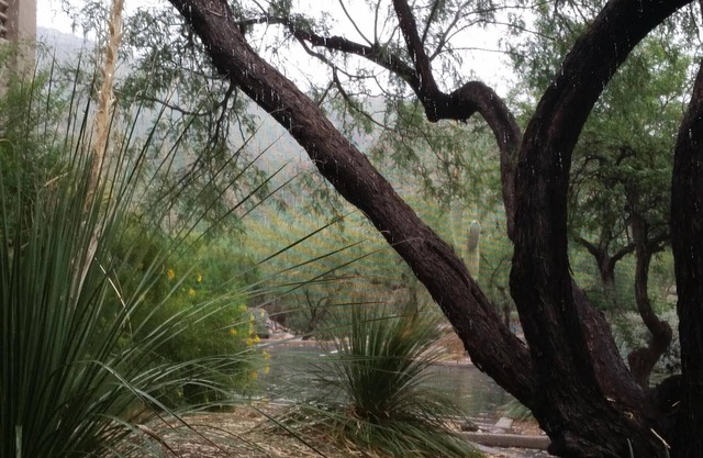 Quiet comfort in the desert foothills. Perfect hiking area.