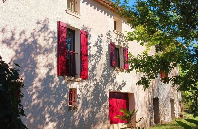 Quiet countryside amid century-old olive trees