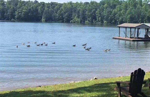 Quiet Family/Pet Lakeside Stay - Flat Lot!