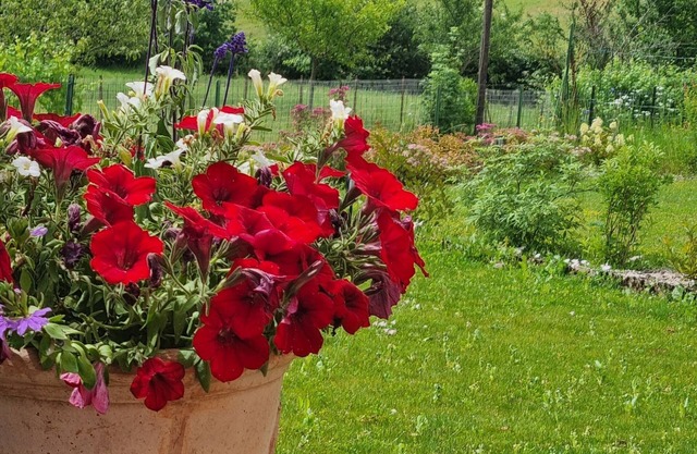 Quiet house in the Morvan with beautiful view of the Château de Ménessaire.