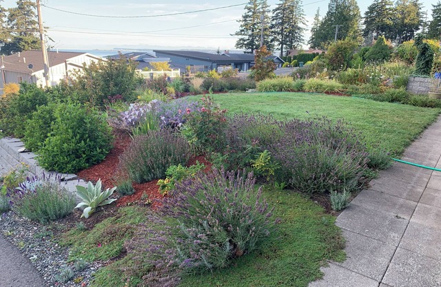 Quiet, Spacious, Private top floor waterview
